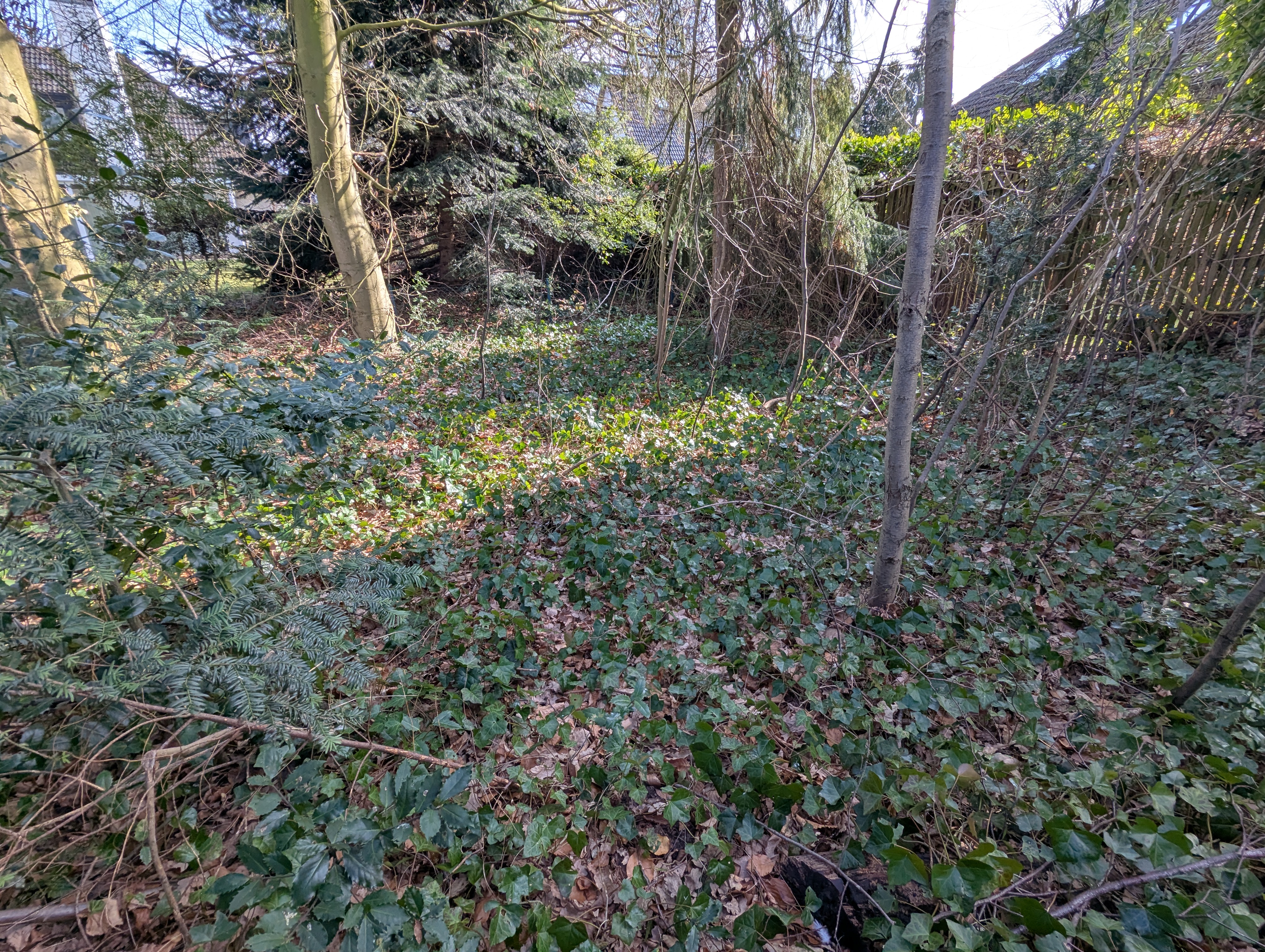 Naturbelassener Teil
