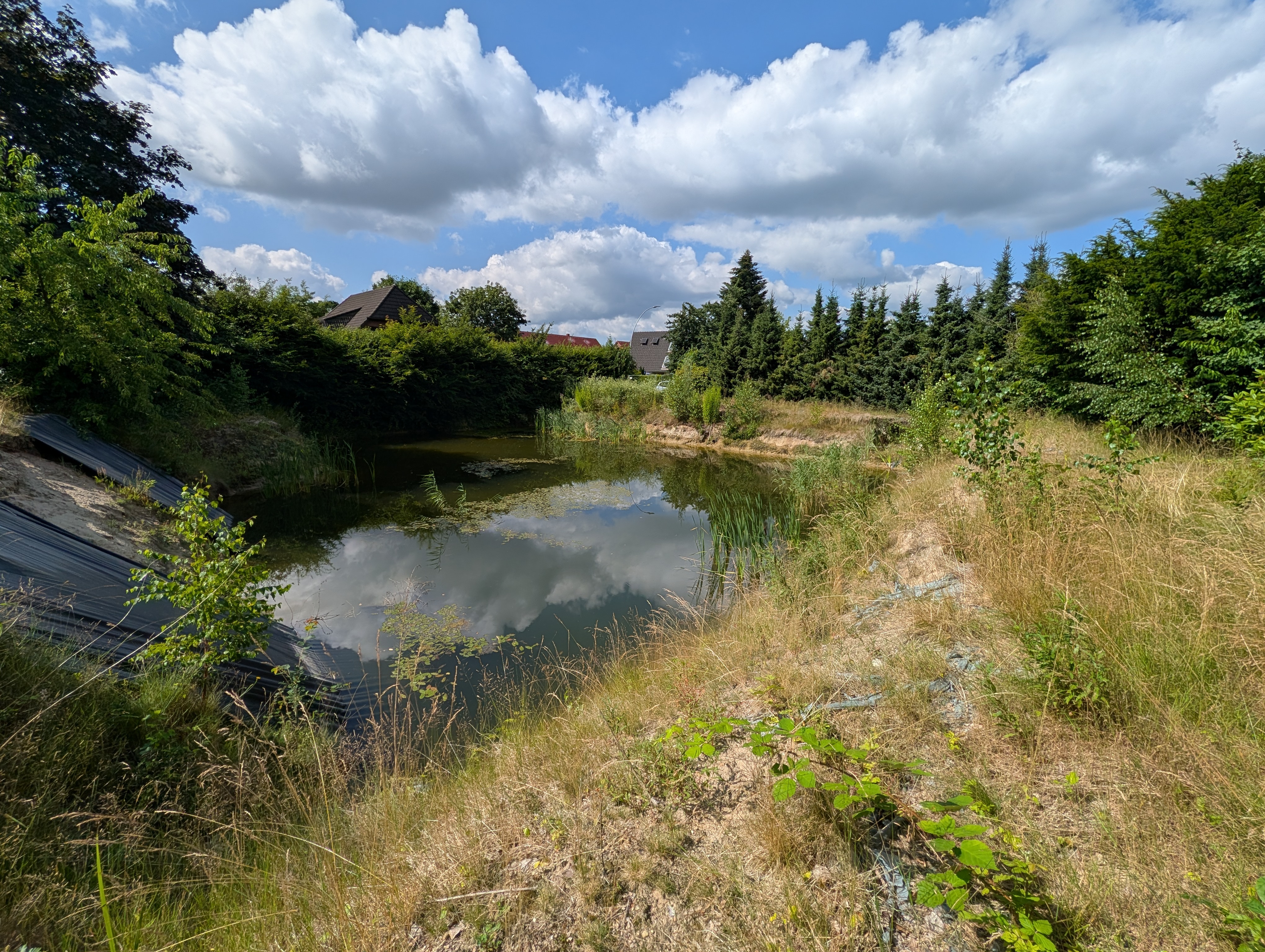 Teich Nord